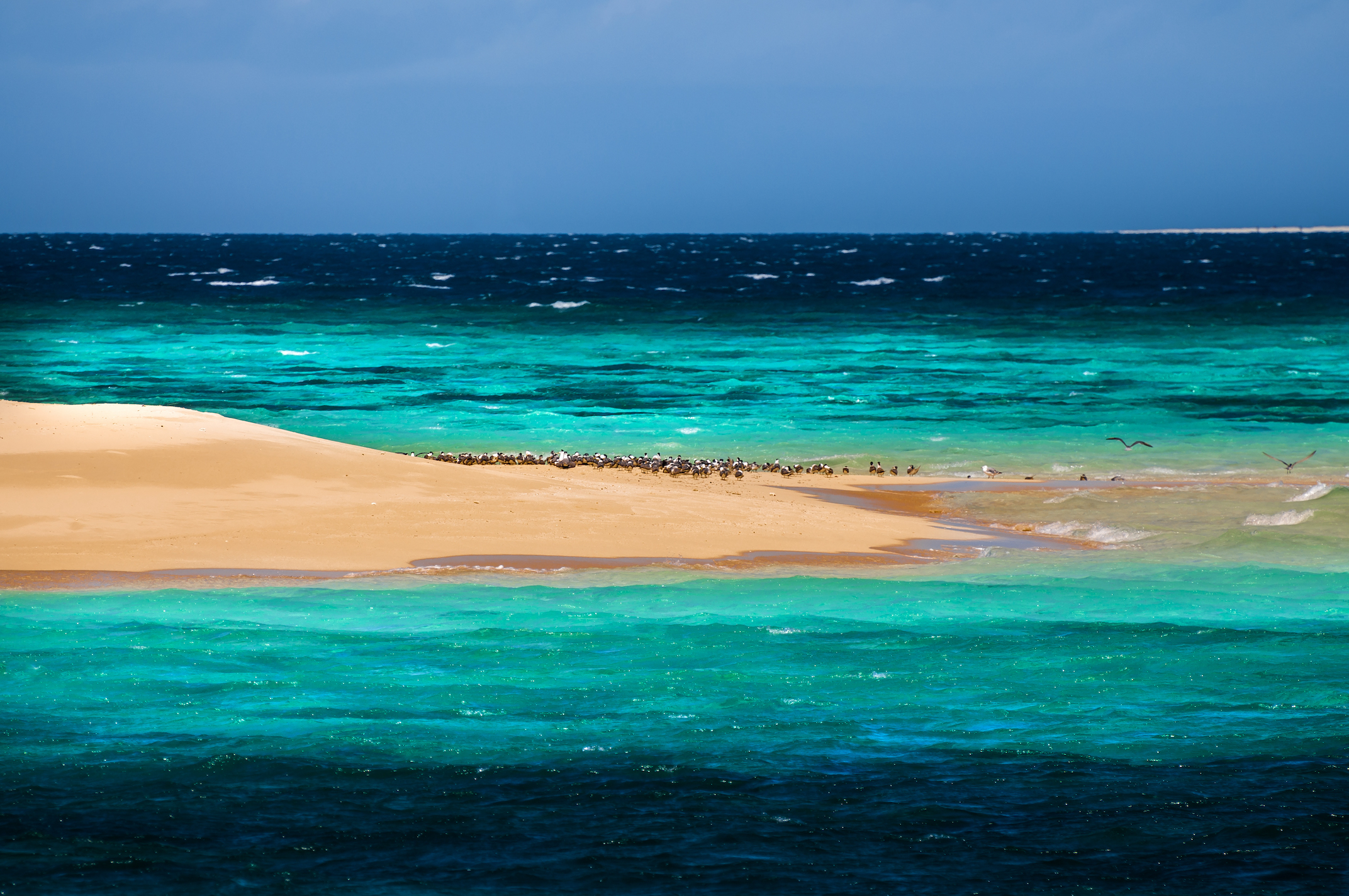 Australia playa