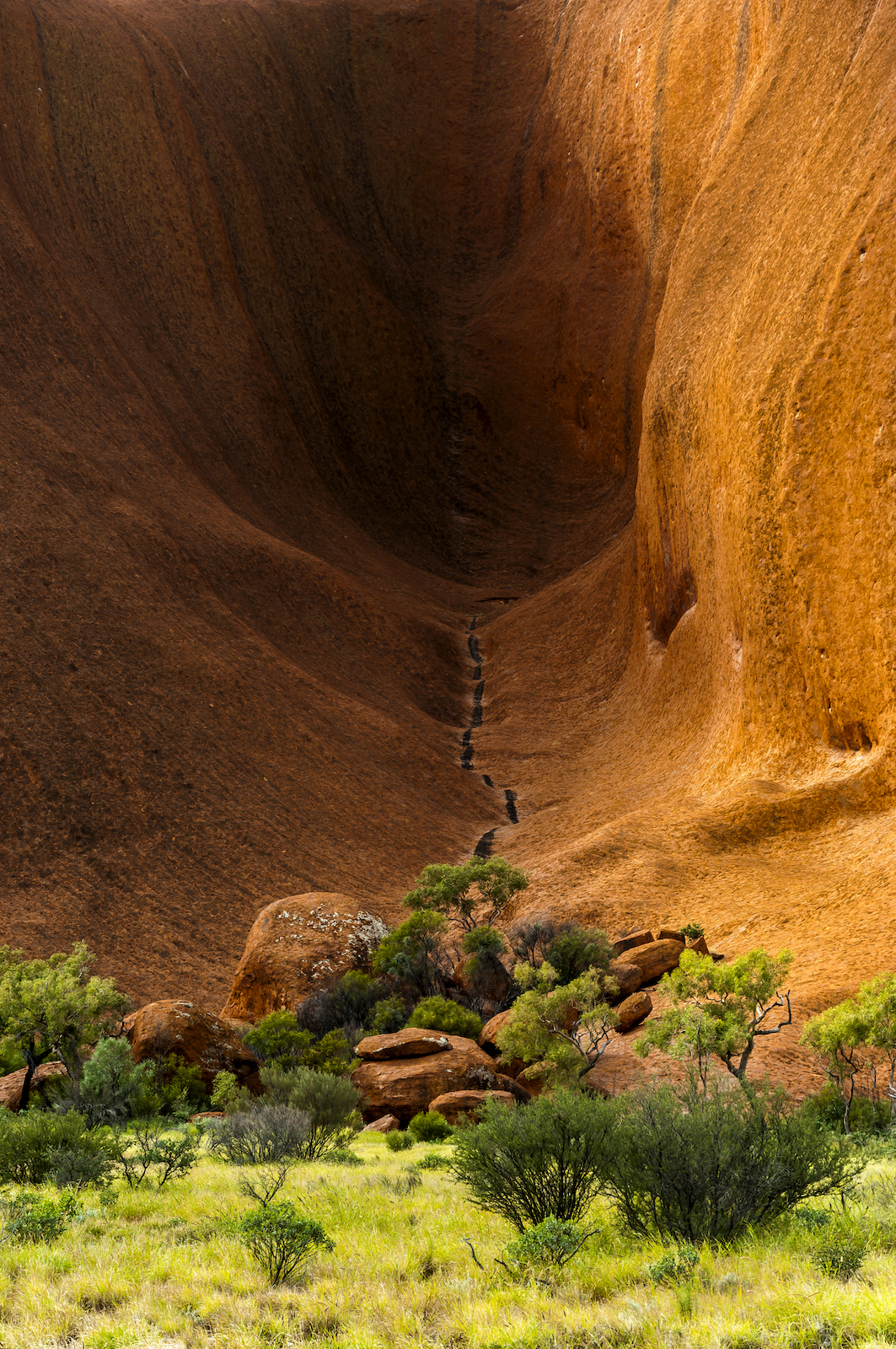 Australia cueva