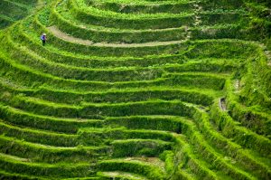 fotografía de viaje a China